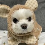 나는