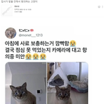 집사가 밥을 안 줘서