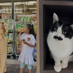 싱글맘 조윤희, 딸 동생 입양→후원금 미담 “로아 동생 <b>시오</b>”