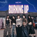 미야오 <b>BURNING</b> UP 어때?