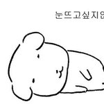 [댓글부탁해] 나 과외 선생님 때문에 <b>뚱남</b> ㅈㄴ 싫어짐