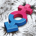 <b>페미니즘</b><b>Feminism</b>을 겨냥한 증오의 칼부림