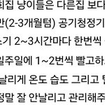 ㄹㅇ 고양이 키우는<b>집들</b> 이래?