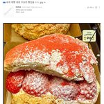 세계 제빵 대회 우승한 빵집들