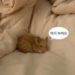 약 먹고 양치하고 샤워하구! <b>홈트</b> 조금만 하다가 잘 거에용