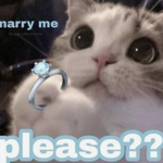 말안하면 <b>몰라</b>