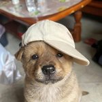 집에있는 신라면 소컵 먹기 <b>vs</b> 불닭소컵 사가기