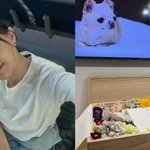 이지혜, 안타까운 <b>비보</b>…가족 떠나보냈다 [RE:스타]