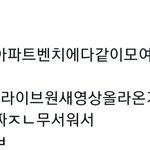 엥 이게 진짜 실화라고?