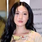 화사, 장관급 박진영에 혼났다…"그렇게 떨어본 적 없어" [마데핫리뷰]