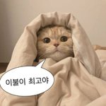 <b>이제</b>