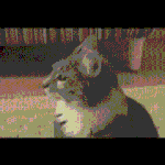 <b>방법</b>