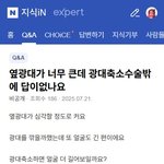 성형외과 <b>의사</b>들말 이제 못믿겠음..