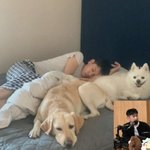 크러쉬 “반려견 두유 모기 잡아줘 여름에 물릴 일 없어”(컬투쇼)