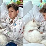 크러쉬, 반려견 두유와 행복 모먼트.."귀여워요" [스타<b>IN</b>]