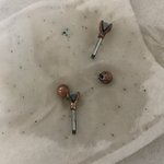 [댓글부탁해] 나 이거 피어싱 버려야겠지?;