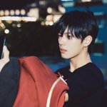 [댓글부탁해] 내가 좋아하는 남돌들인데 내 취향 소나무인가?