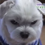 <b>남들</b>이랑 비슷한 사랑이란 감정을 느껴보고 싶음