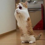 나를