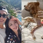 한예슬, '<b>낙상</b> 사고' 4개월 만 기쁜 소식 전했다…"마지막 수술...