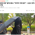 [댓글부탁해] 장원영 정병 악플러 최후