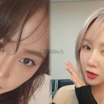 상태였다” 목격담 등장 (+델타항공, <b>뉴욕</b>, 애틀랜타, 한국인승무원,...