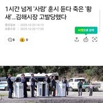 한시간 넘게 높으신 분들 훈시 듣다 죽은 <b>황새</b>