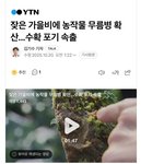 "잦은가을비 농작물 폭등  <b>예상</b>"