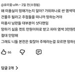 난 이런사람들도 이해안감