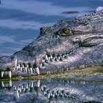 [테오시스] 남편 vs 아내