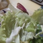 <b>샐러드</b>만 먹는애듷 미친것같음