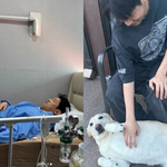 크러쉬 신효섭 레드<b>벨벳</b> 조이 박수영 결혼 할것같다