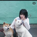 짝남이 좋아하는 <b>여자</b>들인데 <b>여자취향</b> 뭐같음