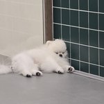 [댓글부탁해] 수능 영어 <b>벼락</b>치기는 어케해야