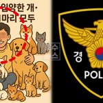 20대 남성, 입양 후 <b>동물</b> 11마리 잔혹하게 죽였다…법정 구속으로...
