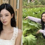 '솔로지옥3' 윤하정 "돌싱 사주라 개명 결심, 2년 만에 결혼이...