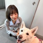 크러쉬 신효섭 결혼할 <b>예비</b>신부 레드벨벳 조이 박수영