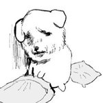 [댓글부탁해] 국<b>힙</b>추천좀