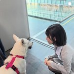 크러쉬 레드벨벳 조이, '꽃미남 진돗개' 풍이와 <b>설레</b>는 첫 만남