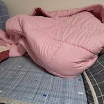 나의 동거묘 도칠이 2025년 겨울맞이 <b>일상들</b>