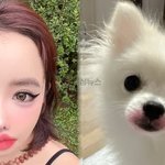 박봄, 양현석 고소장 공개 후 반려견 사진 “립스틱 감사”