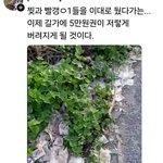 길거리에 뿌려진 돈  보고