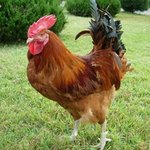 [테오시스] 사랑그리고