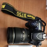 이번엔 진짜다 (69)