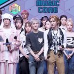 <b>보넥</b>도 비율