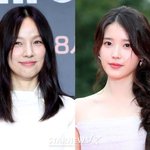 [댓글부탁해] 이효리, 아이유 불화설에 입 열었다.."작은 거라도...