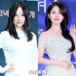 이효리, 아이유와 '손절설' 직접 종결.."매번 선물 챙겨줘...