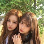 설윤지우 4세대 중에서 개튐