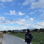 <b>구름</b> 길을 걷는다”…채원빈, 가을 들녘→여유의 산책