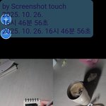 금요일 회식으로 <b>포만감</b>이